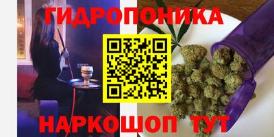 mdpv Лесосибирск