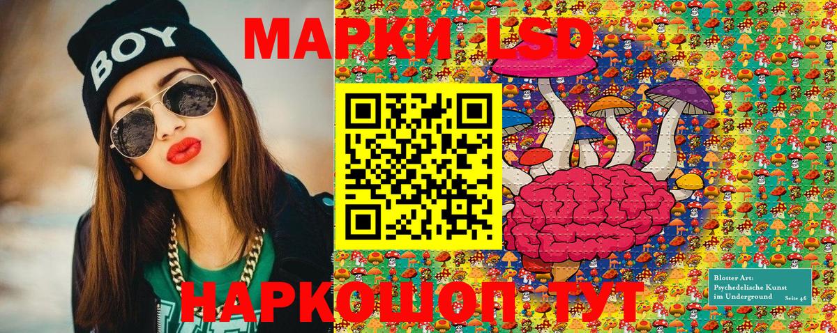 Электрогорск  Наркотические марки 1500мкг  Вход с VPN  Наркотические марки 1500мкг 