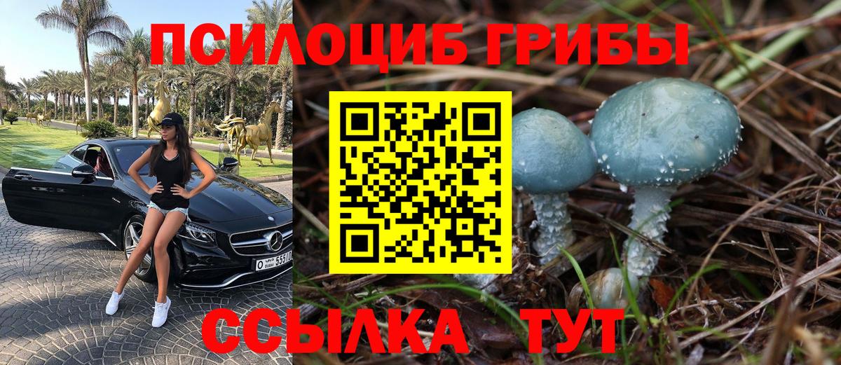 Псилоцибиновые грибы прущие грибы Электрогорск